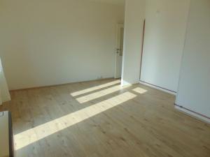 Pronájem bytu 1+kk, Praha - Nusle, Kloboučnická, 35 m2