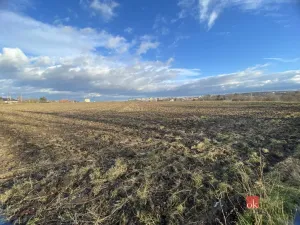 Prodej pole, Žatec, 122418 m2