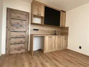 Pronájem bytu 1+kk, Most, U Věžových domů, 22 m2