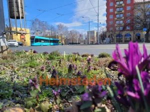 Pronájem kanceláře, Ostrava - Poruba, 17. listopadu, 126 m2