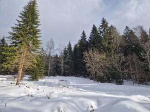 Prodej pozemku pro bydlení, Železná Ruda, 710 m2