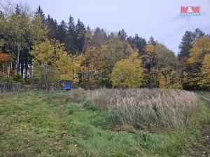 Prodej louky, Hynčina, 922 m2