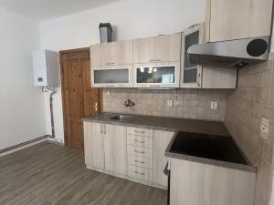 Pronájem bytu 1+kk, Plzeň - Jižní Předměstí, Vrchlického, 30 m2