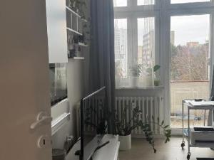 Pronájem bytu 2+1, Zlín, Dlouhá, 49 m2