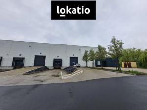 Pronájem skladu, Krupka, Eduarda Proppera, 5493 m2