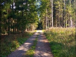 Prodej rodinného domu, Opatovice I, 109 m2