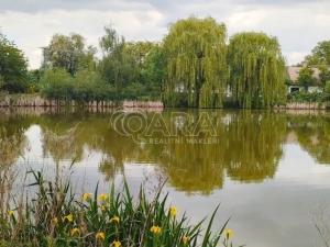 Prodej rodinného domu, Opatovice I, 109 m2