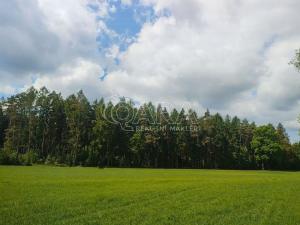 Prodej rodinného domu, Opatovice I, 109 m2