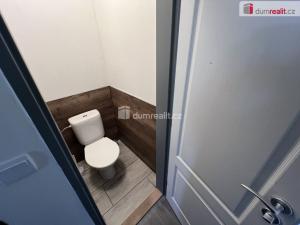 Pronájem bytu 3+1, Církvice, 100 m2