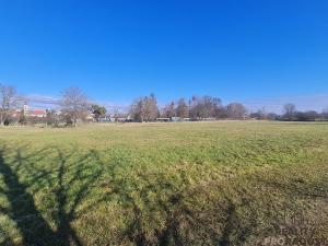 Pronájem zahrady, Domaželice, 988 m2