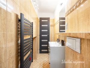 Pronájem bytu 1+kk, Praha - Břevnov, Za Strahovem, 24 m2