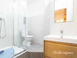 Pronájem bytu 2+kk, Praha - Žižkov, Buková, 46 m2