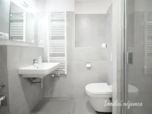 Pronájem bytu 1+kk, Brno - Ponava, Reissigova, 35 m2