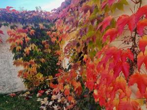 Prodej rodinného domu, Višňové, 150 m2