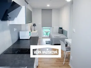 Pronájem bytu 1+kk, Kroměříž, Stoličkova, 28 m2