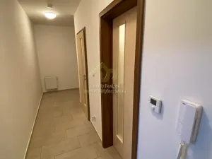 Pronájem bytu 2+kk, Plzeň, Halštatská, 55 m2