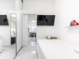 Prodej bytu 3+kk, Velemín, 326 m2