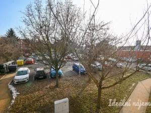 Pronájem bytu 3+1, Brno, Havelkova, 63 m2