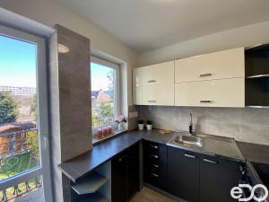 Pronájem bytu 2+kk, Mladá Boleslav - Mladá Boleslav II, Erbenova, 75 m2