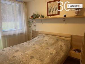 Prodej bytu 2+kk, Všemina, 41 m2