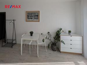 Pronájem bytu 1+kk, Brno, Ulrychova, 20 m2