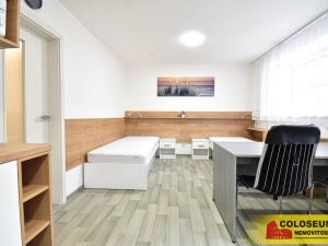 Pronájem bytu 1+kk, Brno - Pisárky, 28 m2