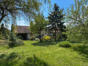 Prodej chalupy, Číčenice - Strpí, 220 m2