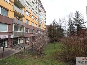 Pronájem bytu 1+kk, Děčín - Děčín I-Děčín, Pohraniční, 19 m2