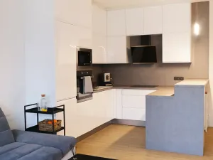 Prodej bytu 3+kk, Ostrava, Na Františkově, 82 m2