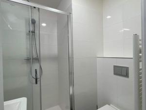 Pronájem bytu 1+kk, Praha - Vinohrady, Perucká, 24 m2