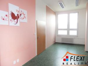 Pronájem komerční nemovitosti, Ostrava, Hrušovská, 430 m2