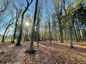 Prodej pozemku pro bydlení, Louňovice, Za Hřištěm, 1040 m2