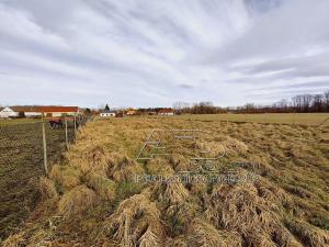 Prodej pozemku pro bydlení, Dívčice, 4272 m2