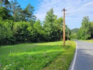 Prodej louky, Sýkořice, 3885 m2