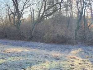 Prodej louky, Sýkořice, 3885 m2