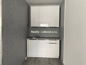 Pronájem bytu 1+kk, Ústí nad Labem - Krásné Březno, Žežická, 30 m2