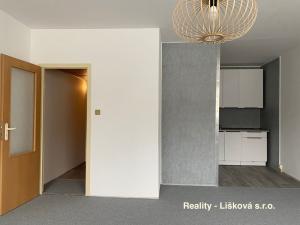 Pronájem bytu 1+kk, Ústí nad Labem - Krásné Březno, Žežická, 30 m2