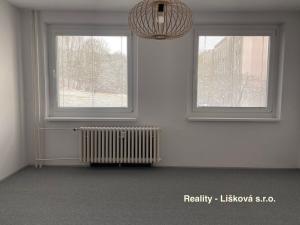 Pronájem bytu 1+kk, Ústí nad Labem - Krásné Březno, Žežická, 30 m2