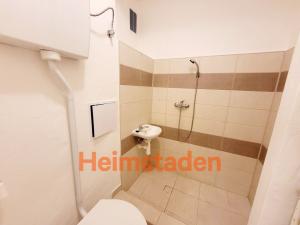 Pronájem bytu 1+kk, Havířov - Město, Hlavní třída, 21 m2