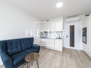 Pronájem bytu 1+kk, Praha - Žižkov, Šrámkové, 43 m2