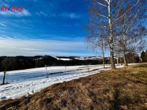 Prodej chalupy, Říčky v Orlických horách, 247 m2