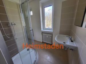 Pronájem bytu 1+kk, Havířov - Šumbark, U Nádraží, 28 m2