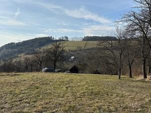 Prodej pozemku pro bydlení, Podhradí, 1333 m2