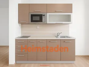 Pronájem bytu 1+kk, Ostrava - Moravská Ostrava, Veleslavínova, 37 m2