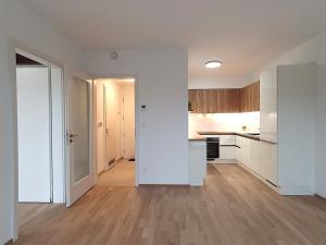 Pronájem bytu 2+kk, Praha - Hodkovičky, Šenácká, 61 m2