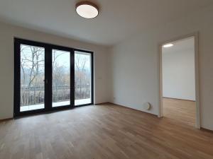 Pronájem bytu 2+kk, Praha - Hodkovičky, Šenácká, 61 m2