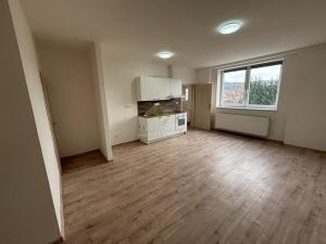 Pronájem bytu 1+kk, Radnice, náměstí Kašpara Šternberka, 38 m2