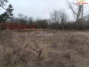 Prodej pozemku pro bydlení, Peruc - Telce, Pod Skálou, 11610 m2