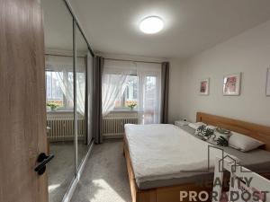 Prodej bytu 4+1, Hodonín, Cihlářská čtvrť, 74 m2