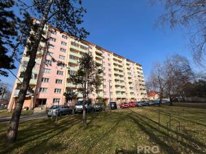 Prodej bytu 4+1, Hodonín, Cihlářská čtvrť, 74 m2